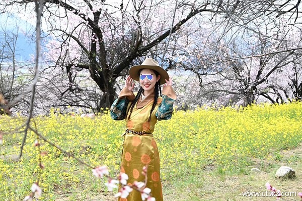 林芝報團價格