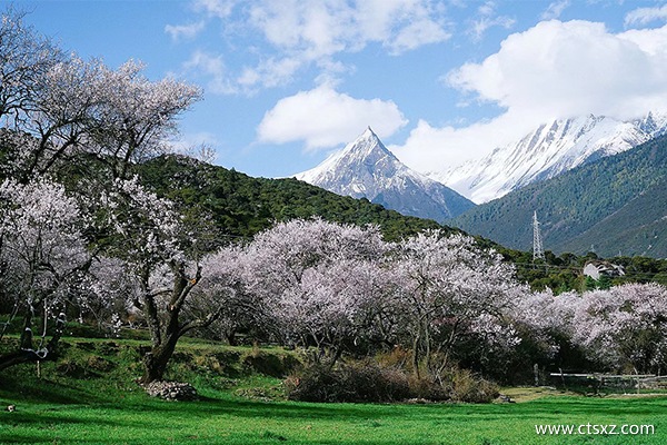 去拉薩的團(tuán)一般多少錢(qián)