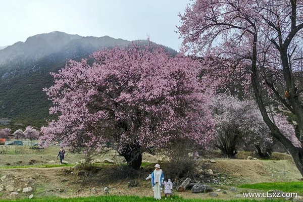 貴陽(yáng)去西藏七日游報(bào)團(tuán)價(jià)格